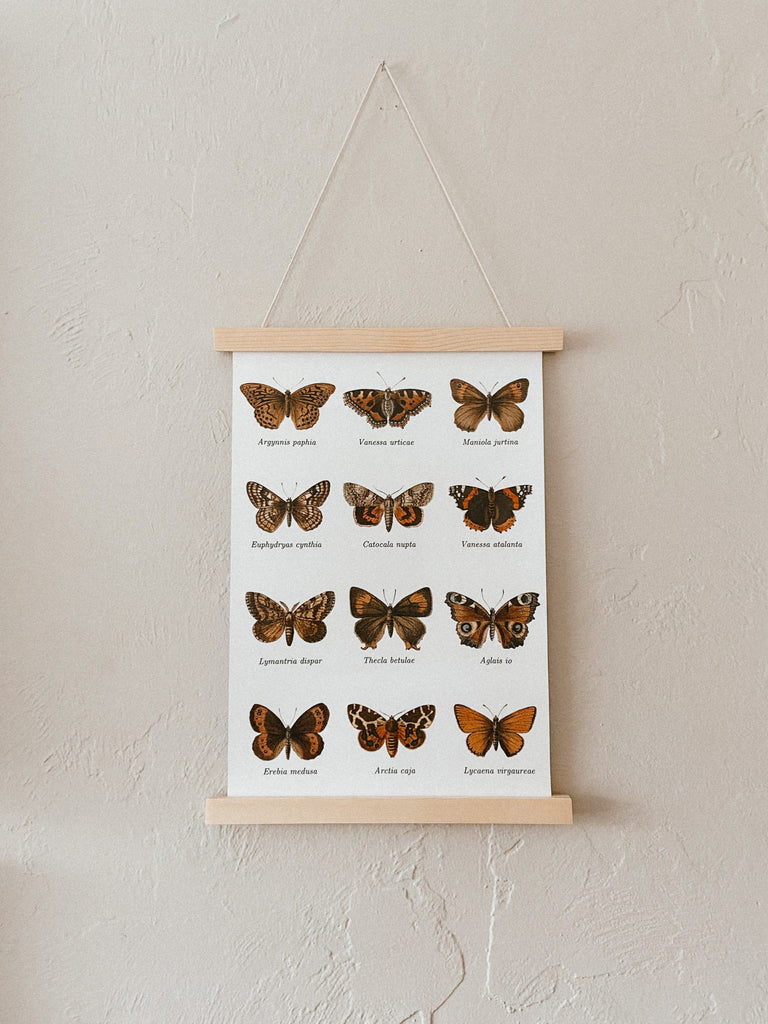 Naupaka 10" x 17" Vintage Moth Print with Magnetic Natural Wood Hanger (14 day turnaround)